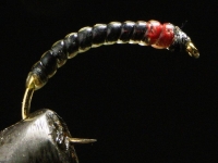 Black bodyglass buzzer